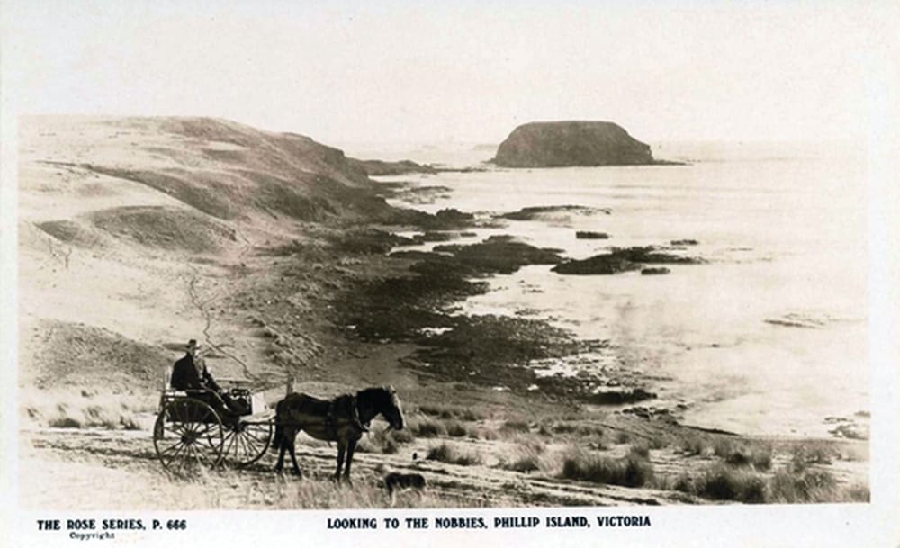 Do you know these historical oddities? post image