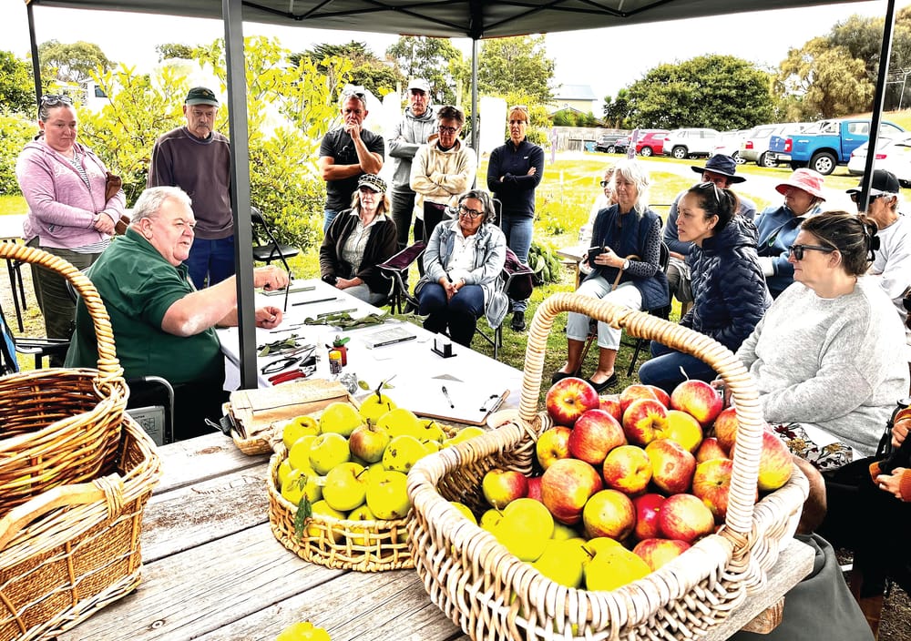 Picnic harvest at community orchard post image