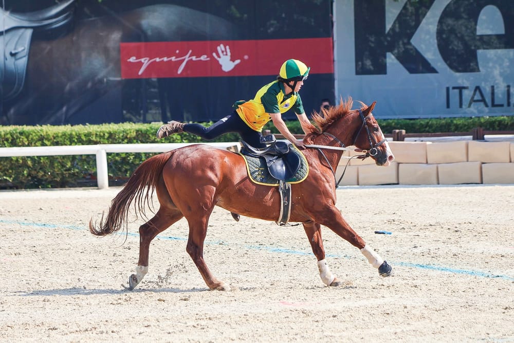 Riding to success post image