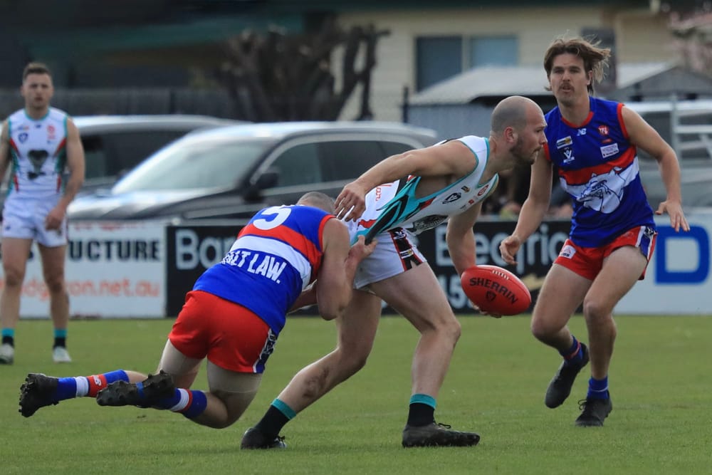 End of season for our Seniors post image