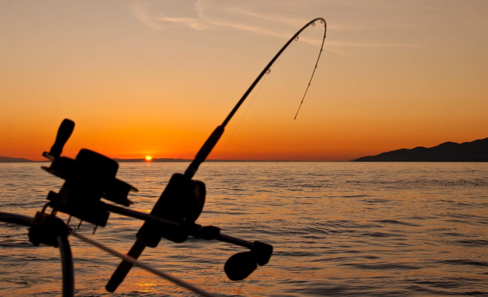 Around the Bay with Jim’s Bait and Tackle post image