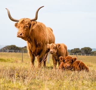Churchill Island post image