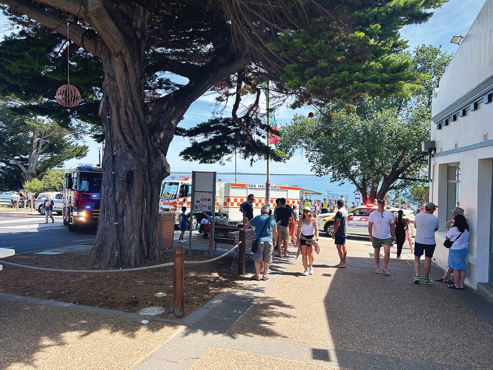 Response praised at Cowes collision post image