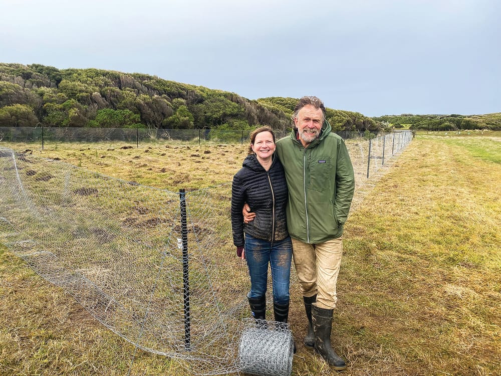 Tree trial rolled out post image