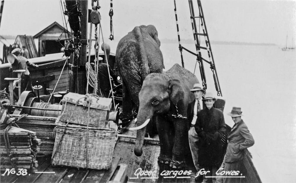 The circus comes to town post image