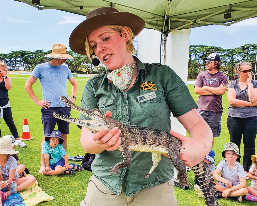 Get hands on with animals post image