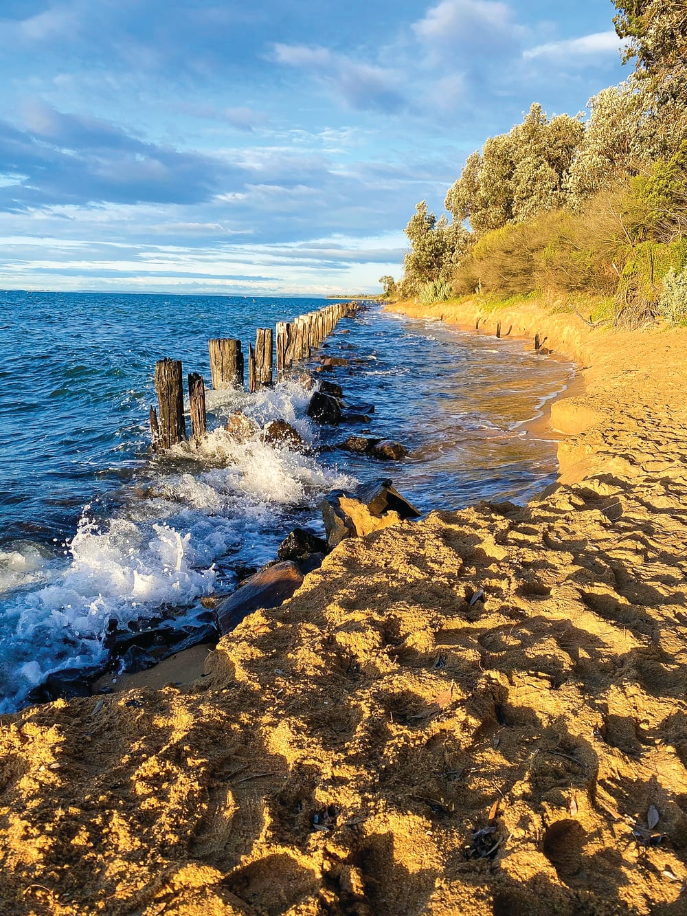 Climate change will hit tourism businesses post image