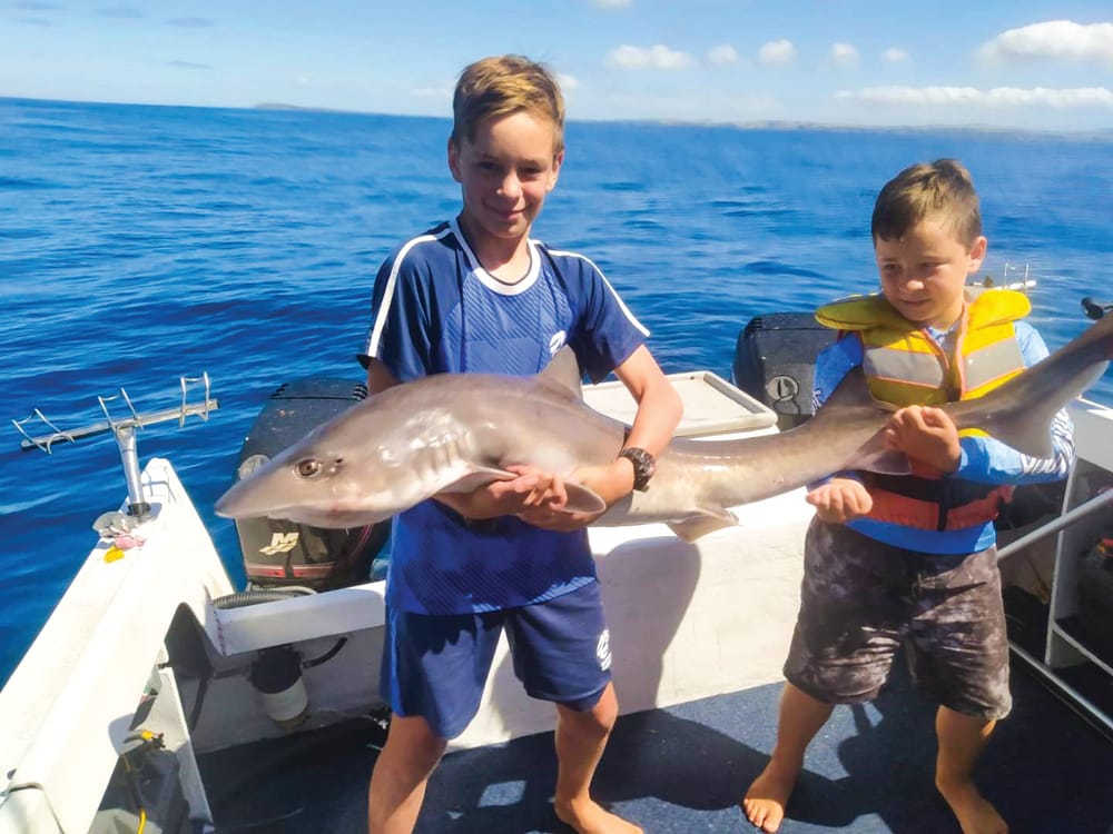 Around the Bay, with Jim’s Bait and Tackle. post image