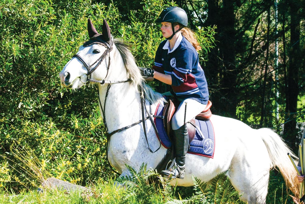 Equestrian team winter training day post image