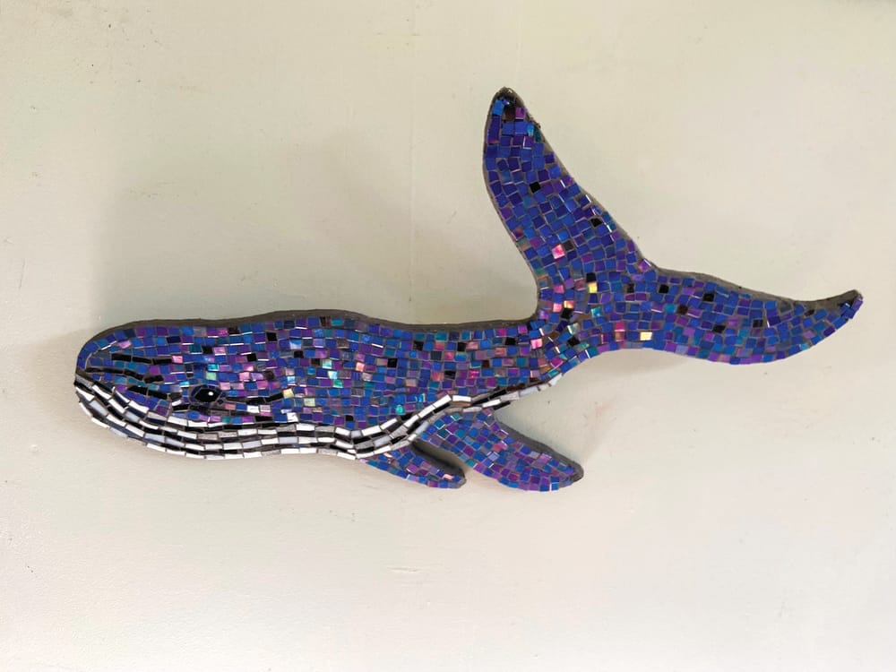 Get set for a Whale of a Time post image