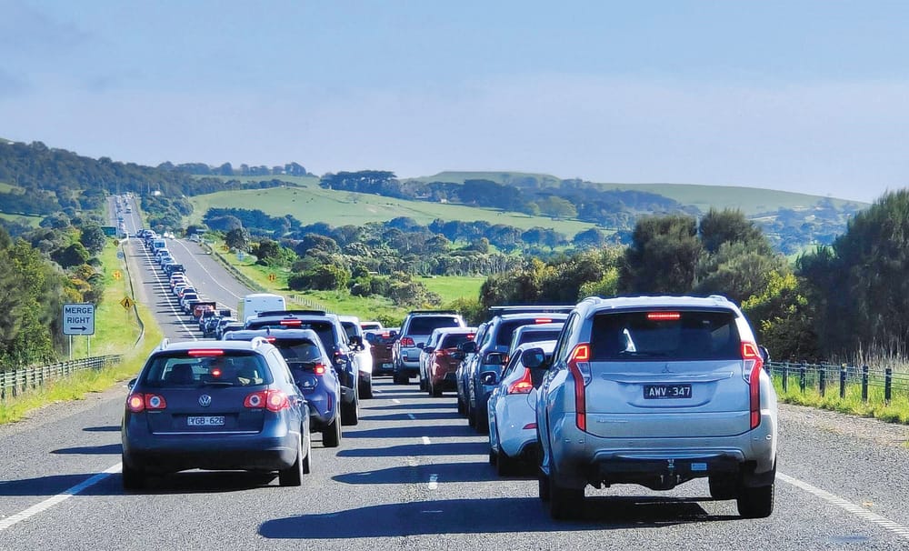 Solutions needed for "huge influx" of day-trippers: PINP post image