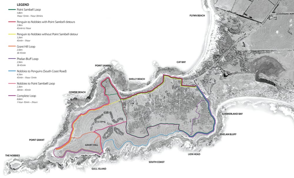 South Coast Road will stay open: PINP post image