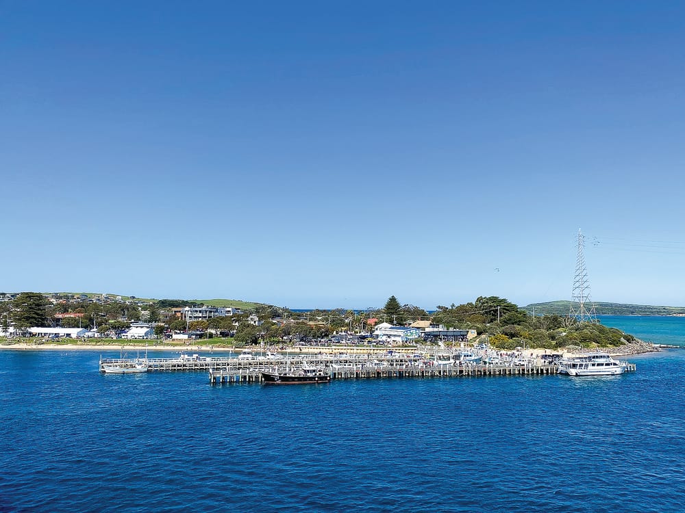 A magnificent weekend! TIDAL Seafood festival success post image