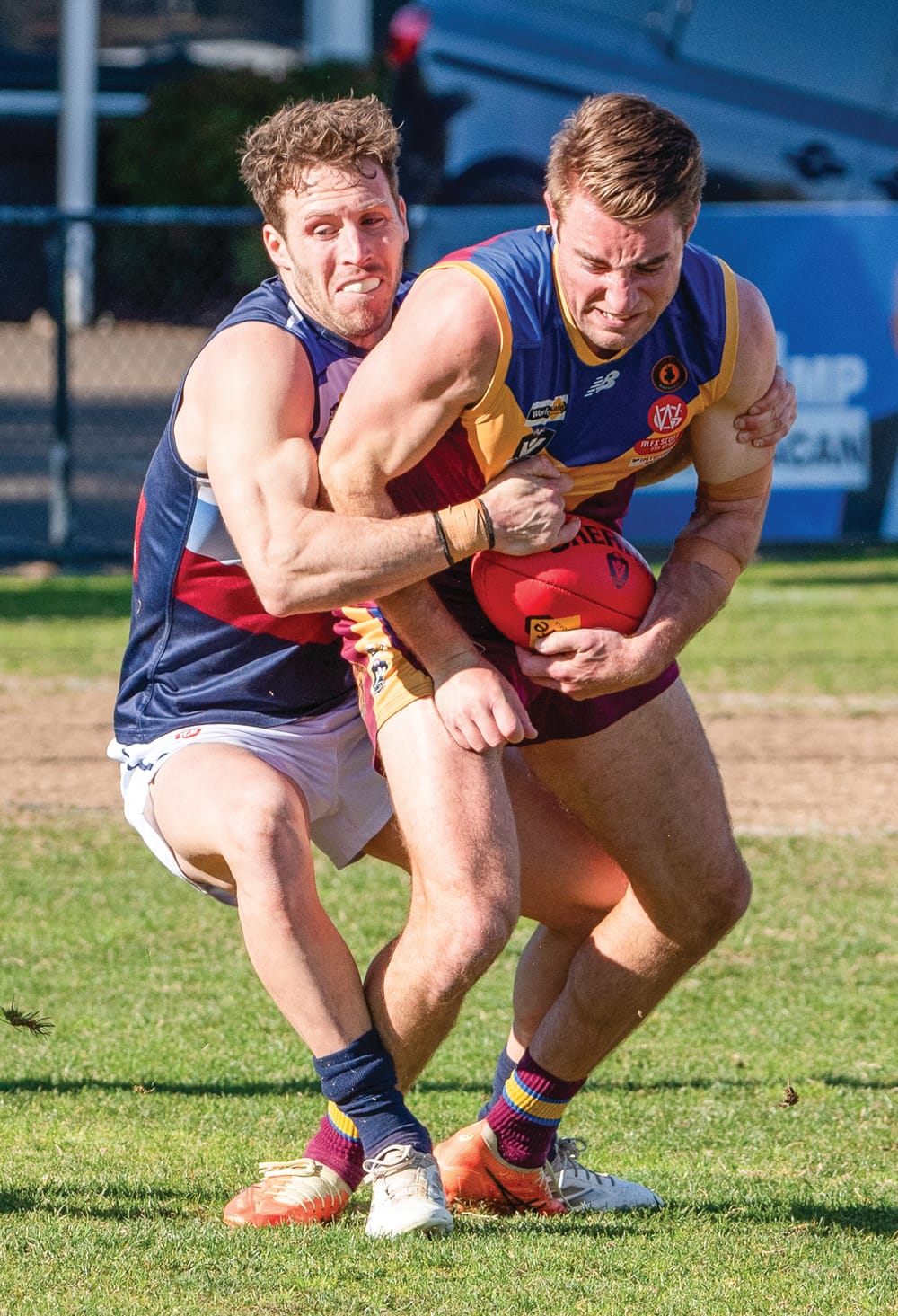 Panthers show grit post image