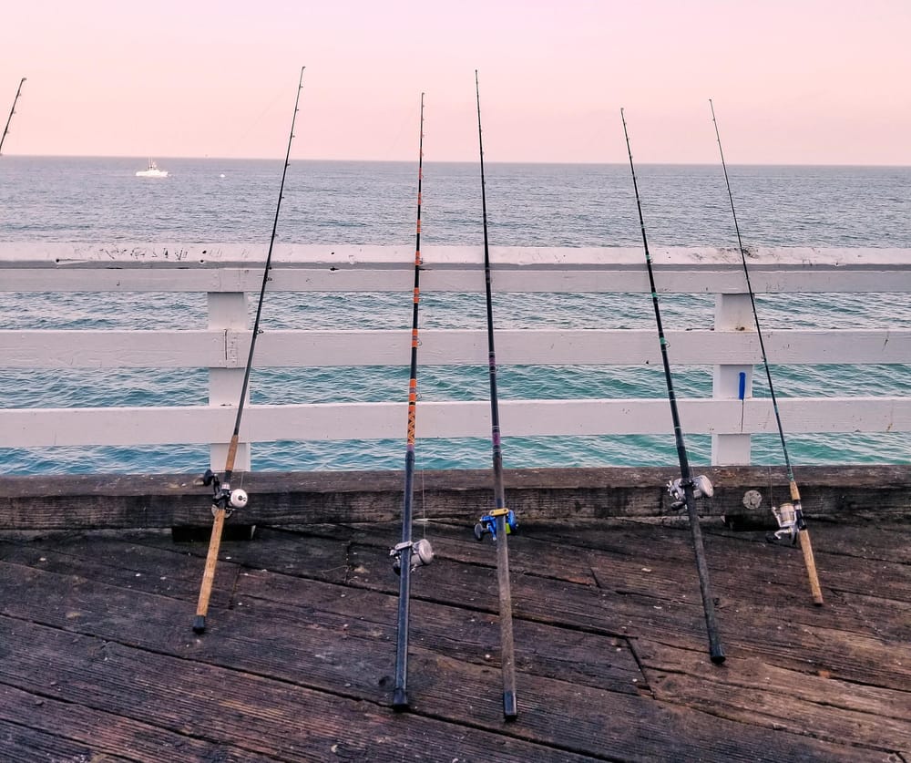 Around the bay with Jim’s Bait and Tackle post image