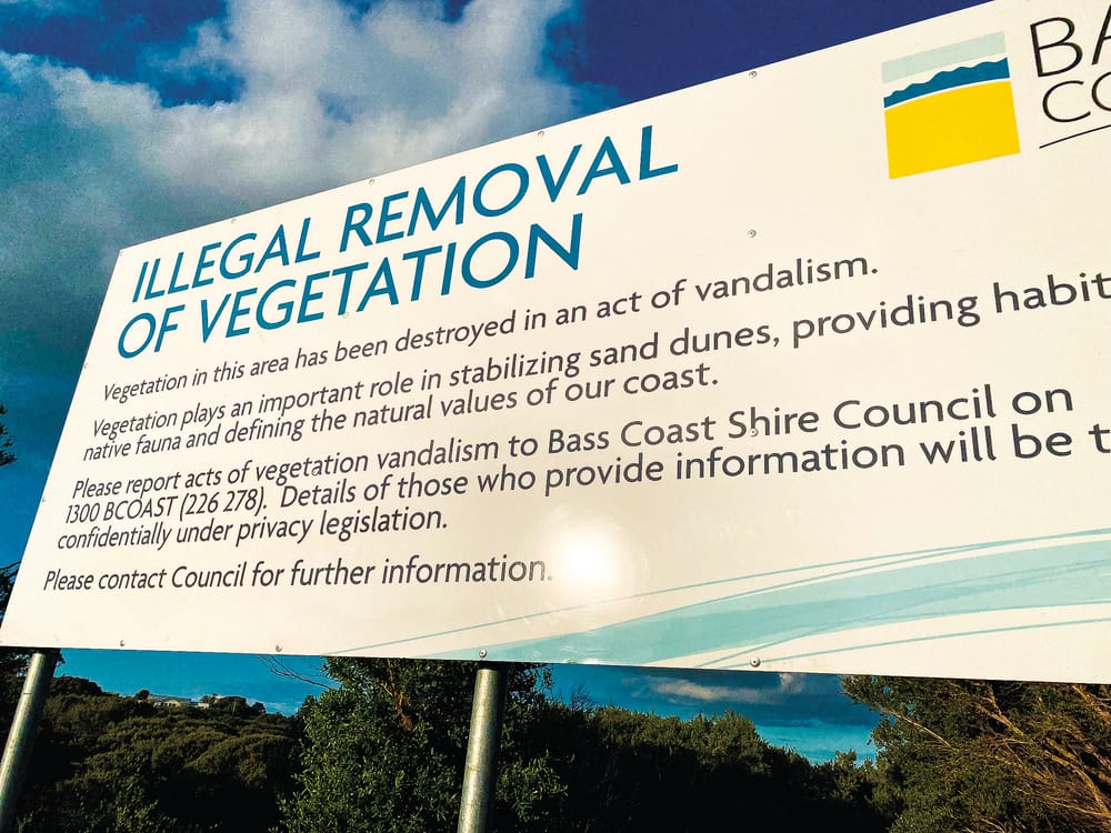 Clampdown on illegal beach tree removal post image