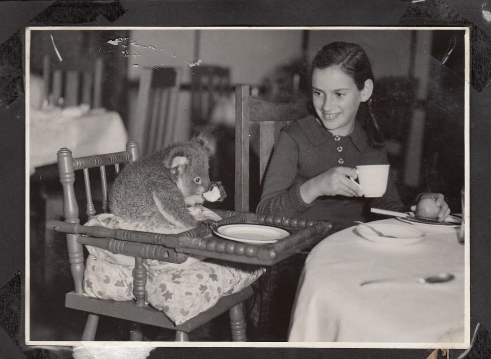 Edward: Australia’s most famous koala post image