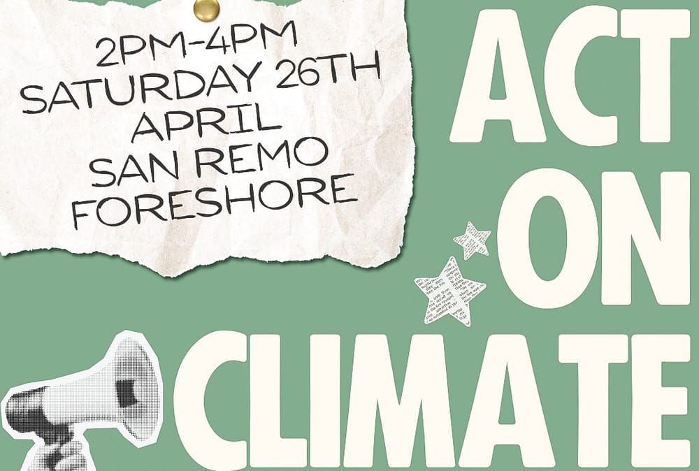 Climate action rally post image