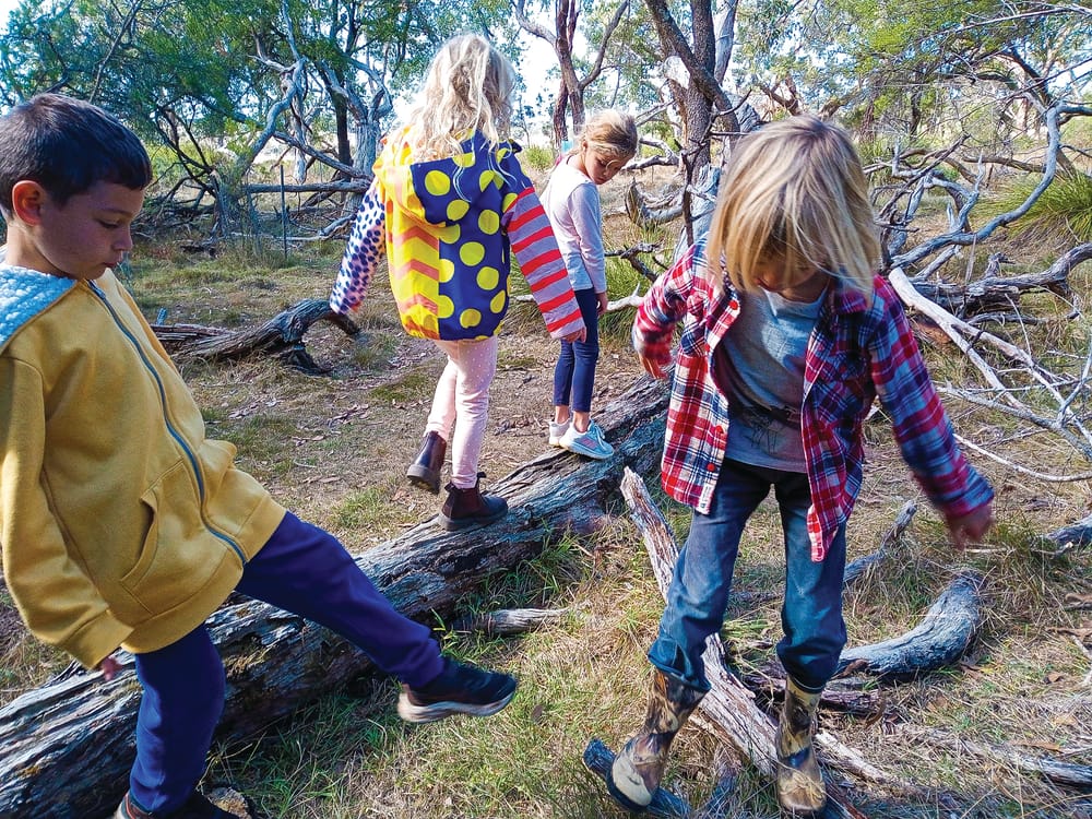 Village School goes bush post image