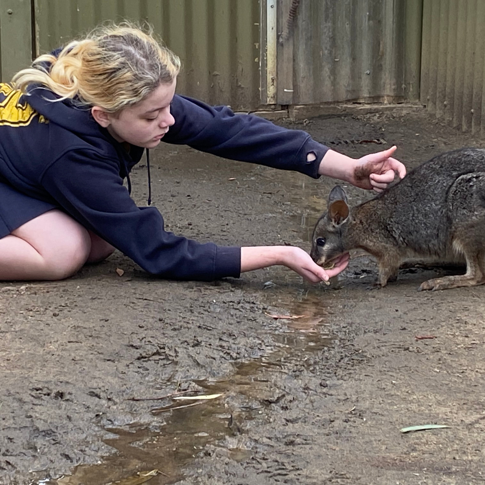 Kids and animals thrive post image