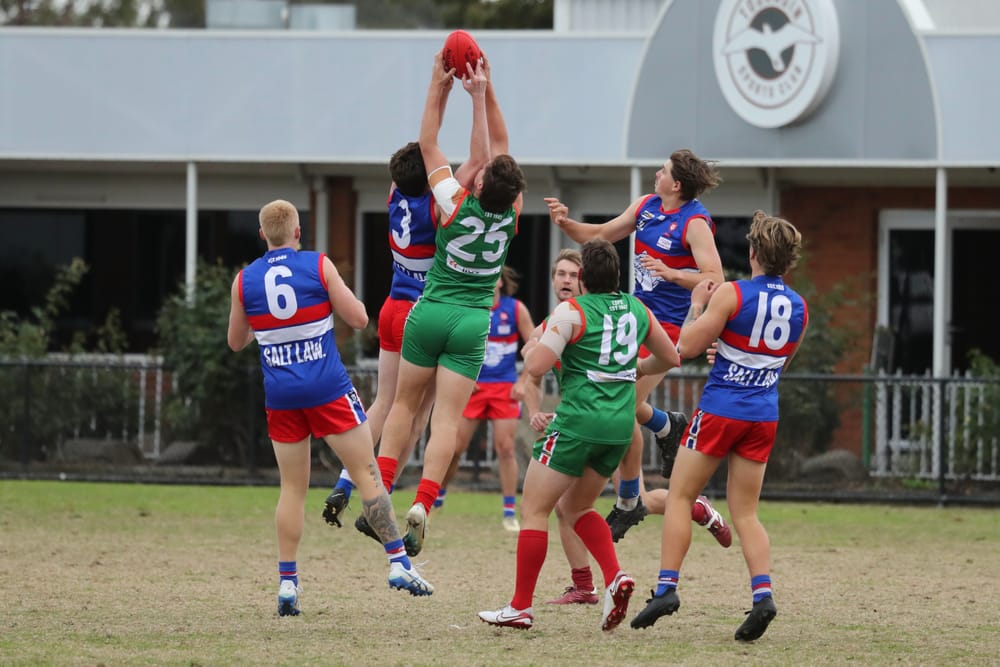 Hard slog for the Bulldogs post image