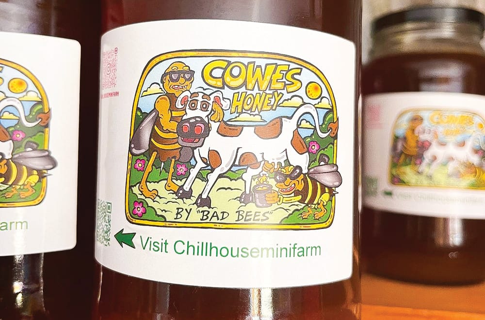 The island is buzzing post image