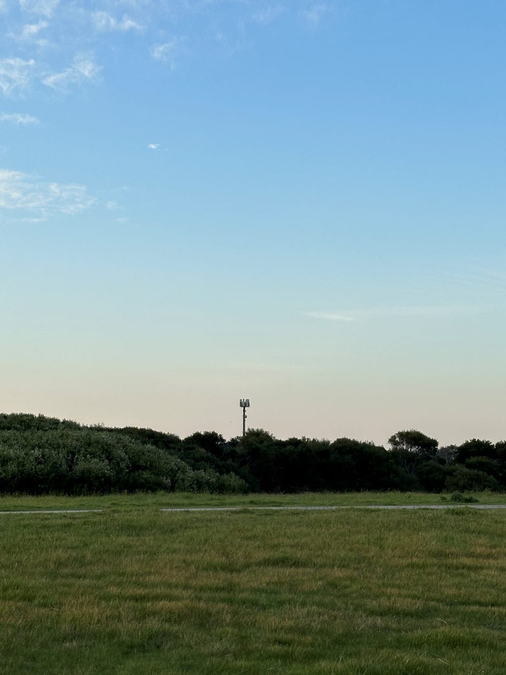 Phone services outlook: Growth post image