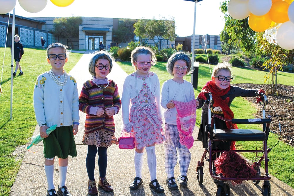 Preps celebrate 100 days of school post image
