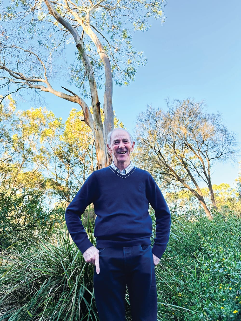 How much for a Cowes golden cypress? That's $20,000 post image