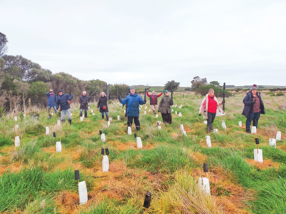 Landcare in limbo after budget announcement post image