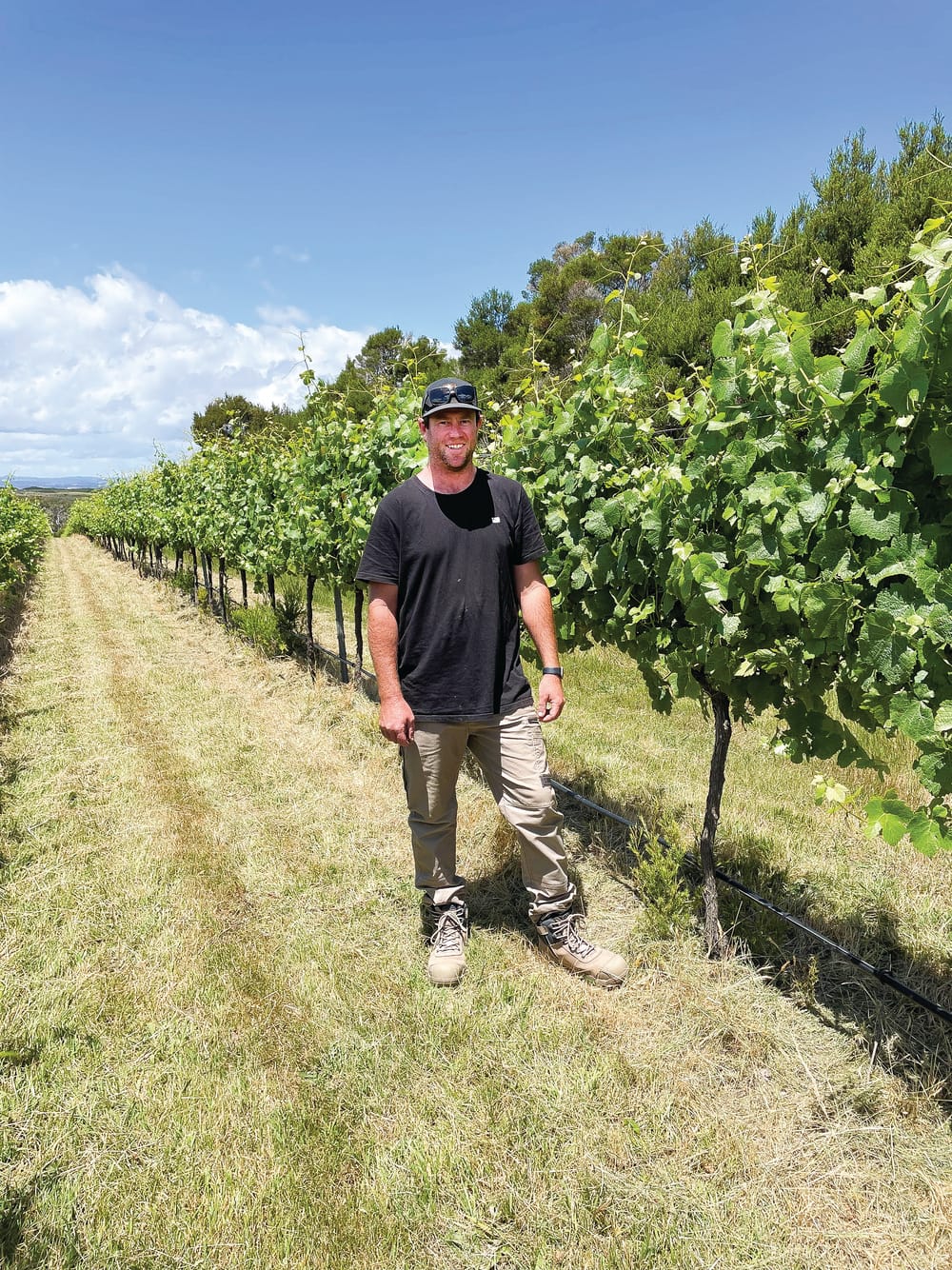 French Island on ABC TV post image