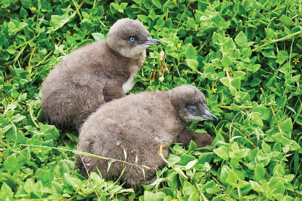 Nature Parks releases report, a year late post image