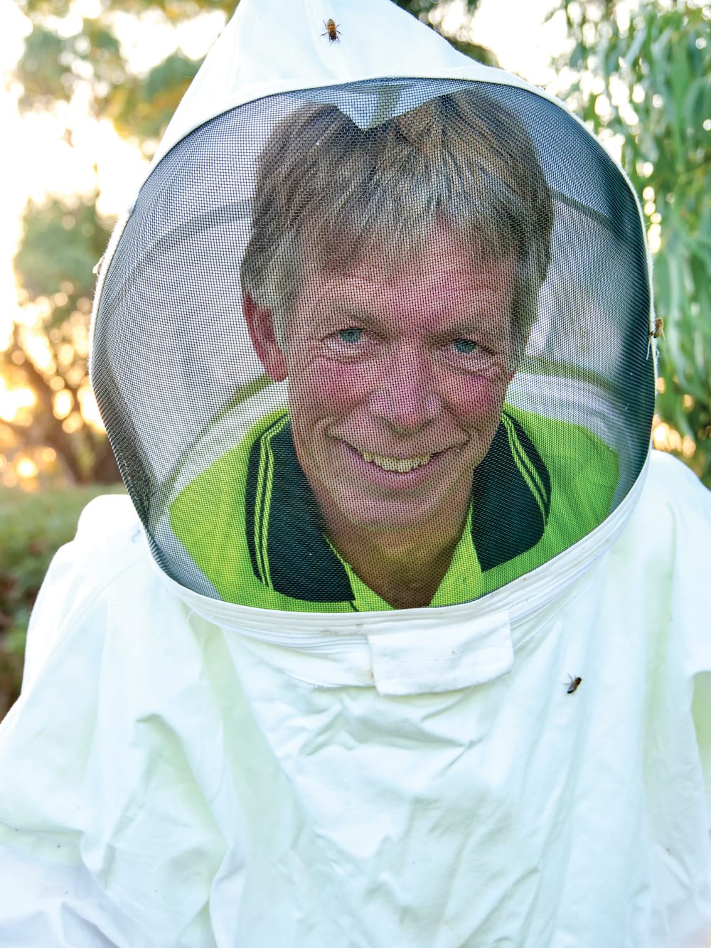 “I’m waiting for a bomb to hit”: bee crisis post image