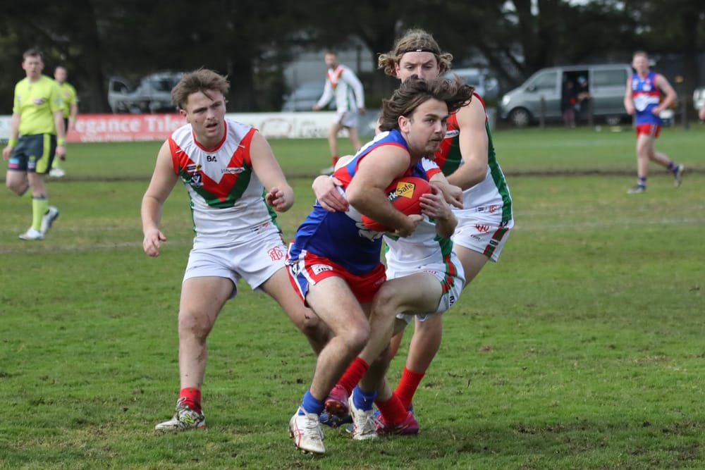 Commanding performance from Bulldogs - Seniors post image