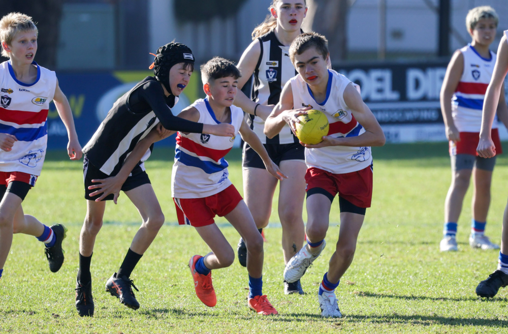 Bulldog juniors deliver skill, spirit and teamwork for the Blue's post image