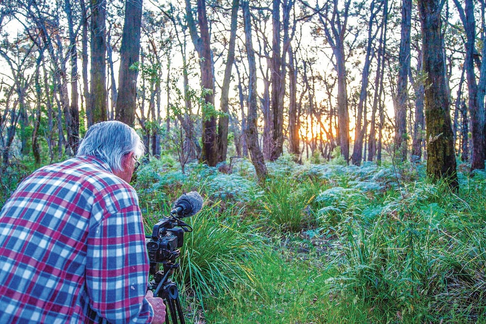 Phillip Islanders go to Hollywood post image
