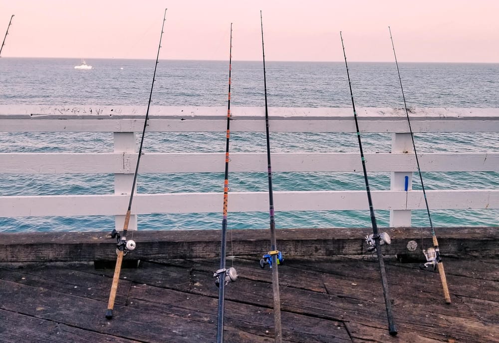 Around the Bay with Jim’s Bait & Tackle post image