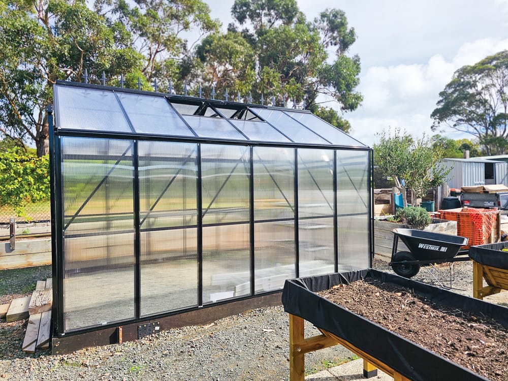 Glasshouse supports food security post image
