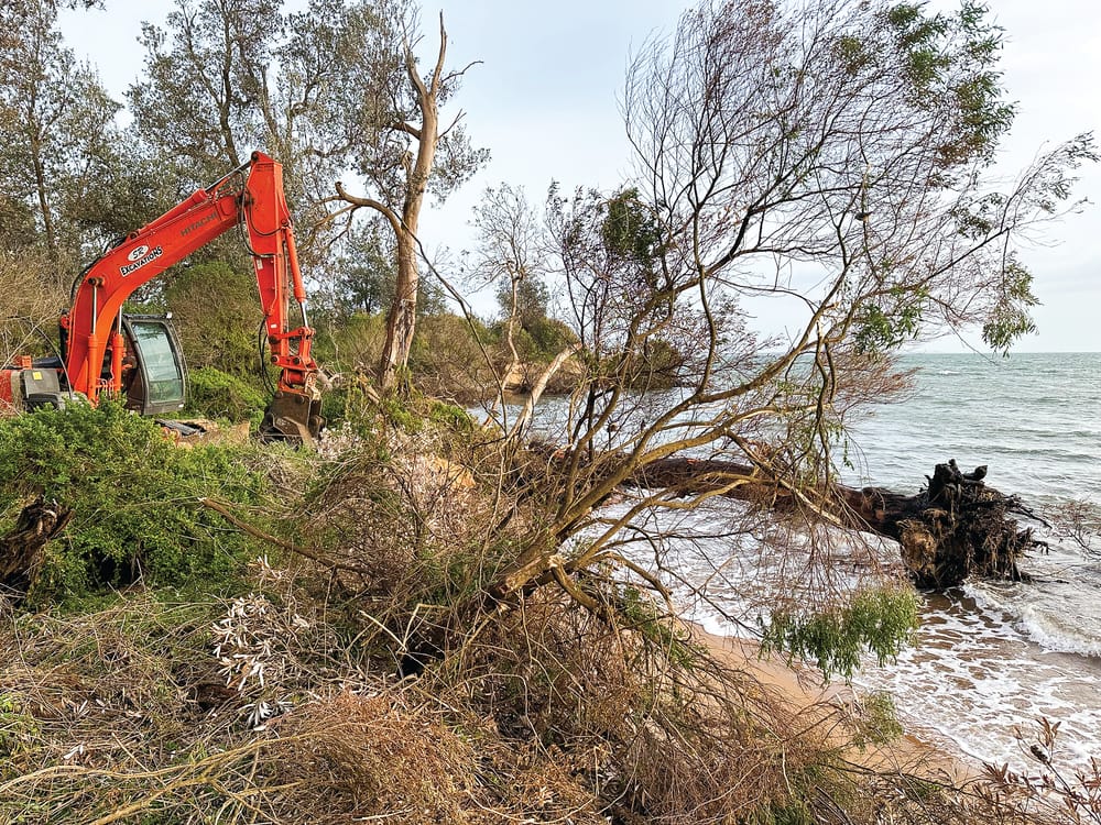 Silverleaves residents expect "inundation and destruction": survey post image