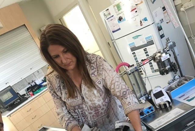 Concern for dumped pets post image