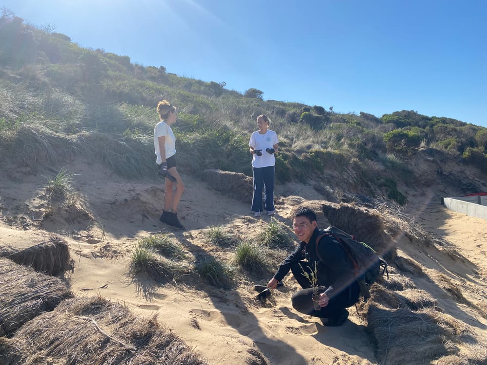 Dunes restoration gets a boost post image