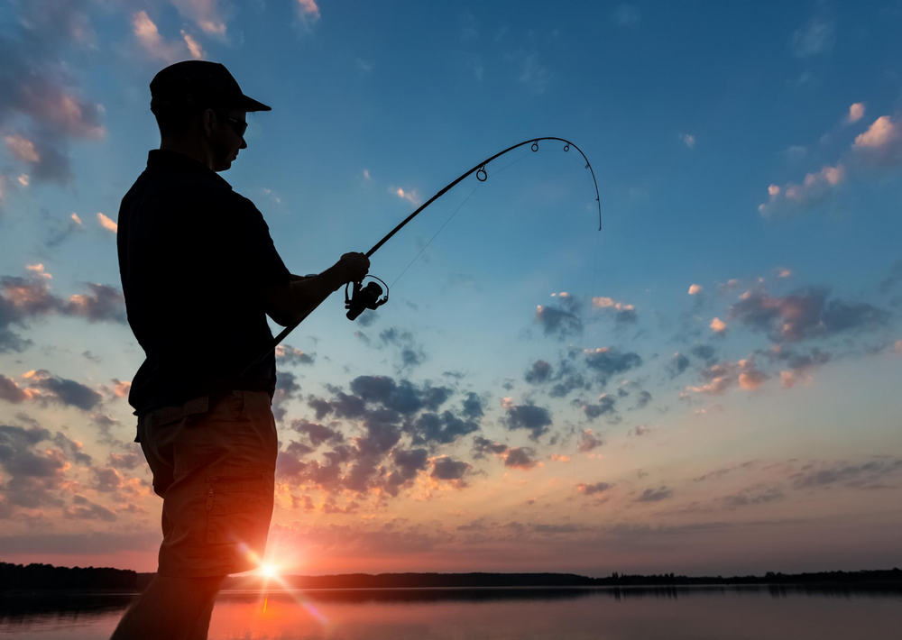 Is carbon neutral fishing possible? post image