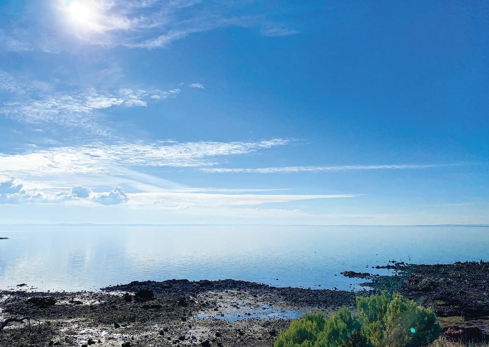 Calling on citizen scientists post image