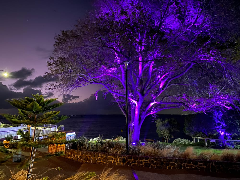 Change for Sam turns Jetty Triangle purple post image