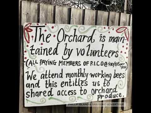 A garden for all post image