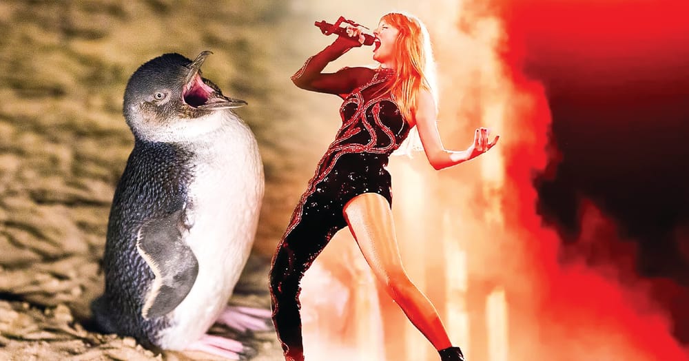 It's official: little penguins bigger than Taylor Swift post image