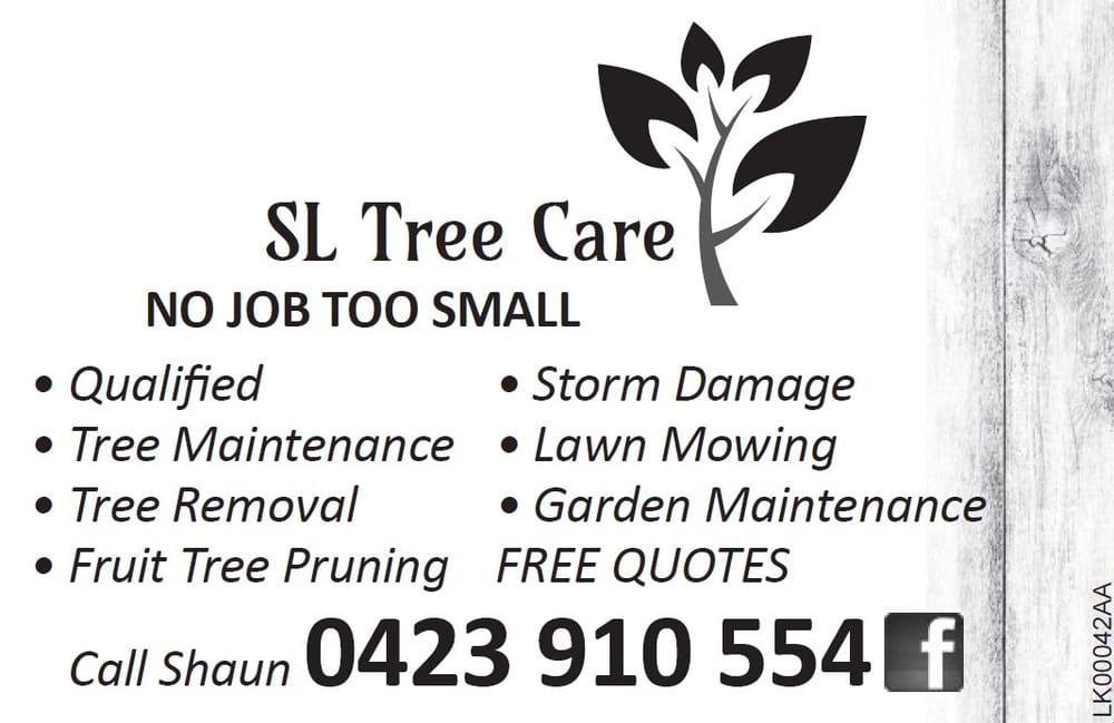 SL Tree Care post image