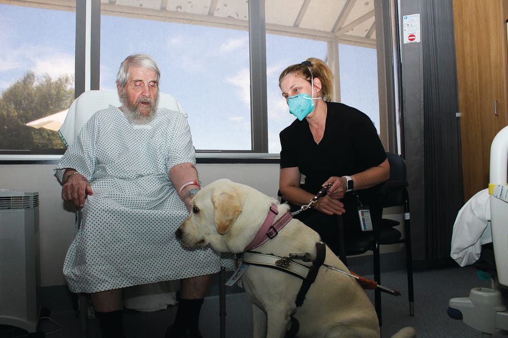 Daisy brings in the sunshine post image