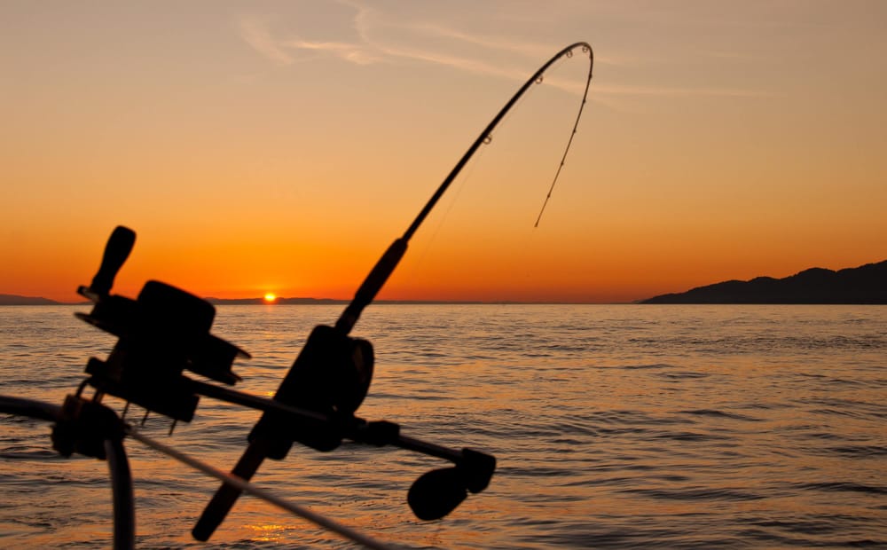 Around the Bay with Jim’s Bait & Tackle post image