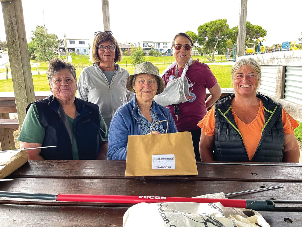 Waging war on wombat mange post image